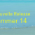 Bannière_DVS_Summer14_2